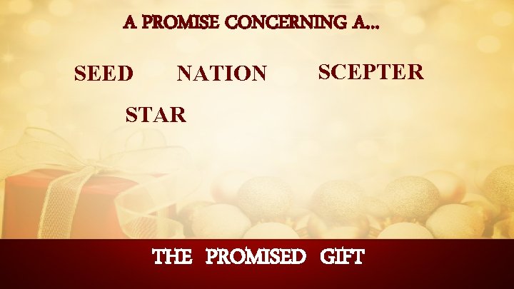 A PROMISE CONCERNING A… SEED NATION SCEPTER STAR THE PROMISED GIFT 