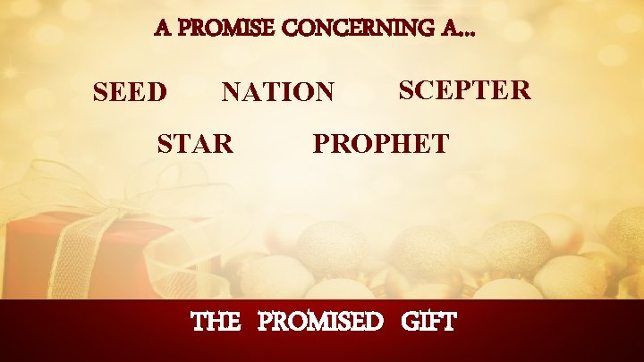 A PROMISE CONCERNING A… SEED NATION STAR SCEPTER PROPHET THE PROMISED GIFT 