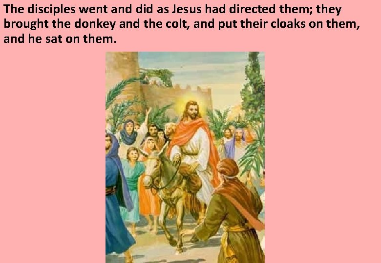 The disciples went and did as Jesus had directed them; they brought the donkey