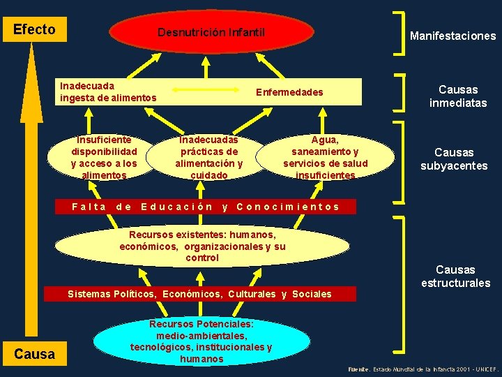 Efecto Desnutrición Infantil Inadecuada ingesta de alimentos Insuficiente disponibilidad y acceso a los alimentos