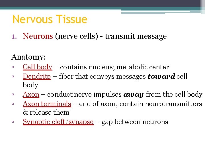 Nervous Tissue 1. Neurons (nerve cells) - transmit message Anatomy: ▫ ▫ ▫ Cell