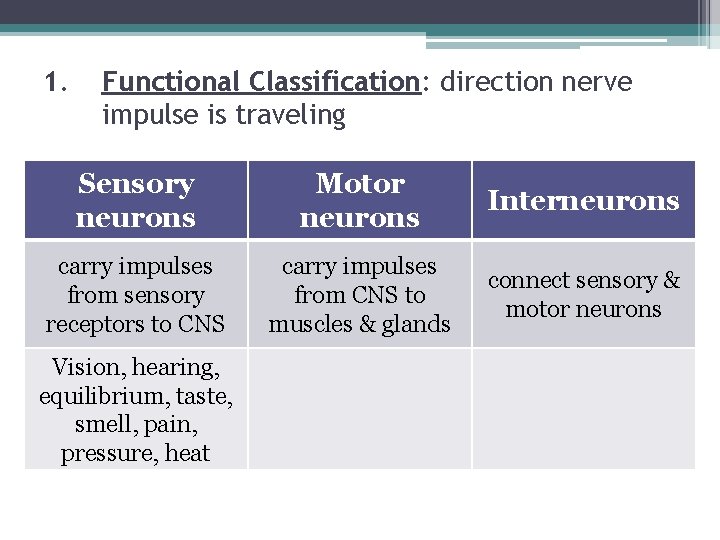 1. Functional Classification: direction nerve impulse is traveling Sensory neurons Motor neurons Interneurons carry