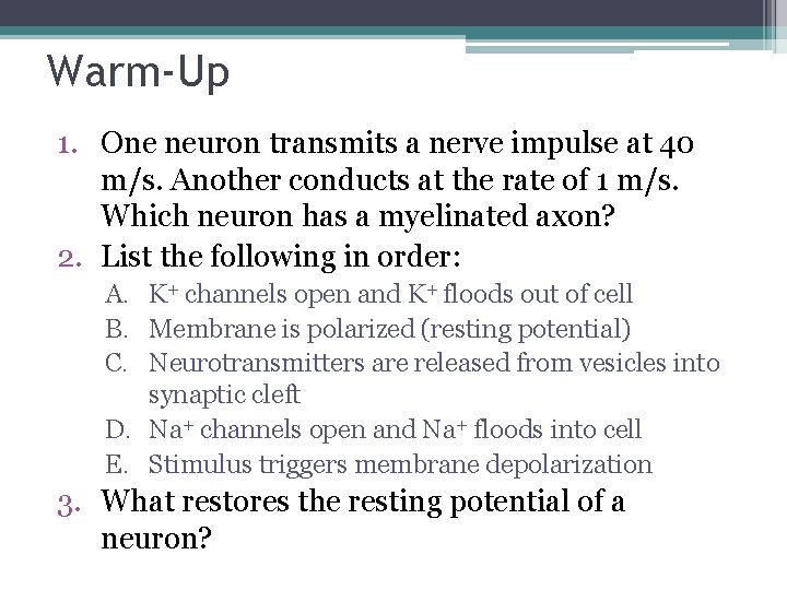 Warm-Up 1. One neuron transmits a nerve impulse at 40 m/s. Another conducts at