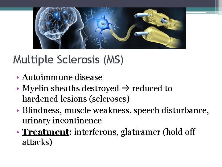 Multiple Sclerosis (MS) • Autoimmune disease • Myelin sheaths destroyed reduced to hardened lesions