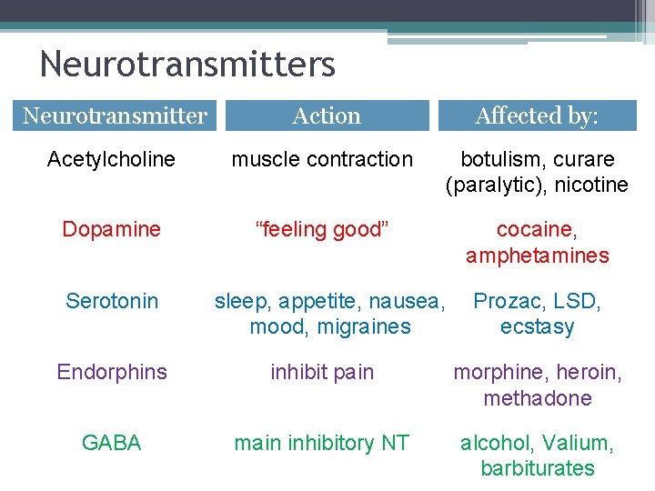 Neurotransmitters Neurotransmitter Action Affected by: Acetylcholine muscle contraction botulism, curare (paralytic), nicotine Dopamine “feeling