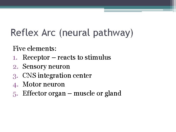 Reflex Arc (neural pathway) Five elements: 1. Receptor – reacts to stimulus 2. Sensory