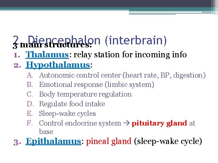 2. main Diencephalon 3 structures: (interbrain) 1. Thalamus: relay station for incoming info 2.