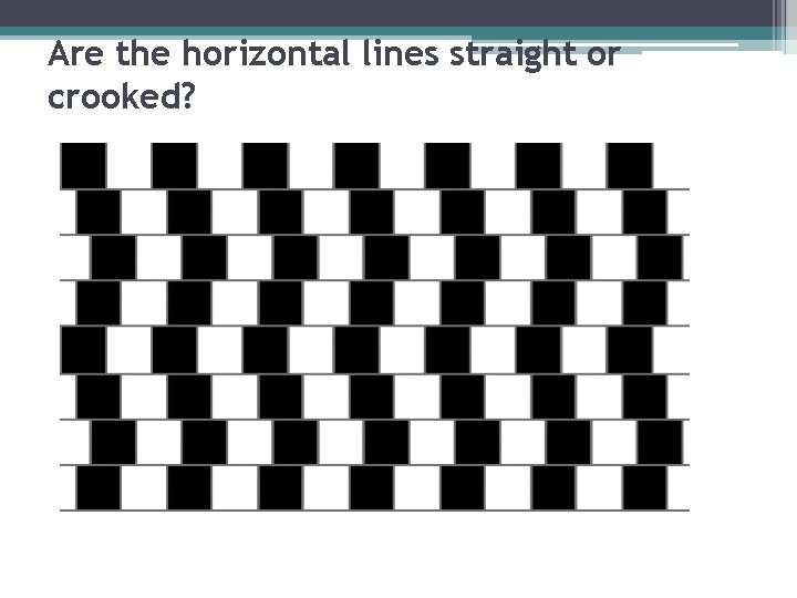 Are the horizontal lines straight or crooked? 