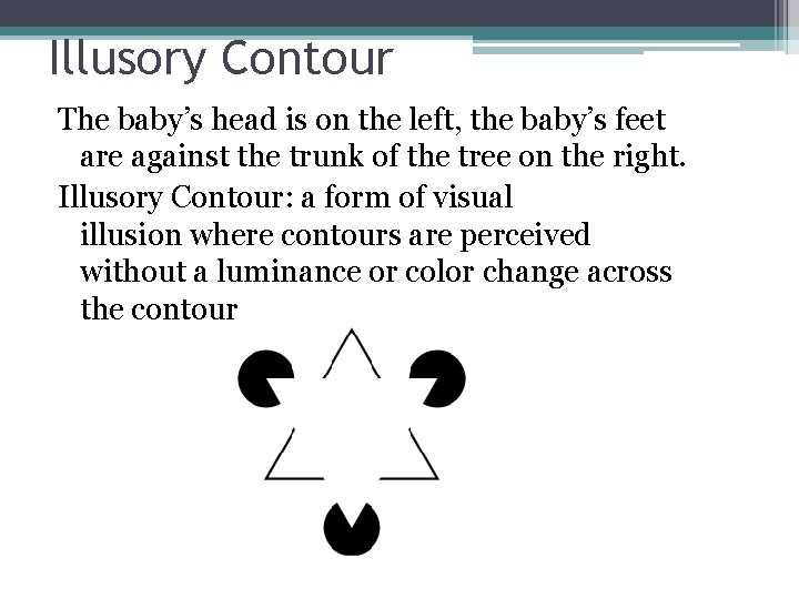 Illusory Contour The baby’s head is on the left, the baby’s feet are against