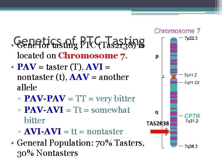 of PTC Tasting • Genetics Gene for tasting PTC (Tas 2 r 38) is