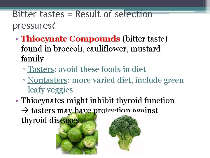 Bitter tastes = Result of selection pressures? • Thiocynate Compounds (bitter taste) found in
