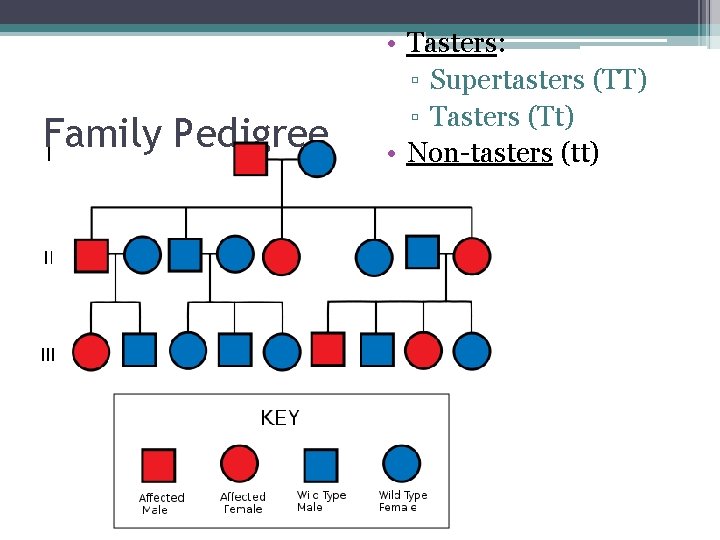 Family Pedigree • Tasters: ▫ Supertasters (TT) ▫ Tasters (Tt) • Non-tasters (tt) 