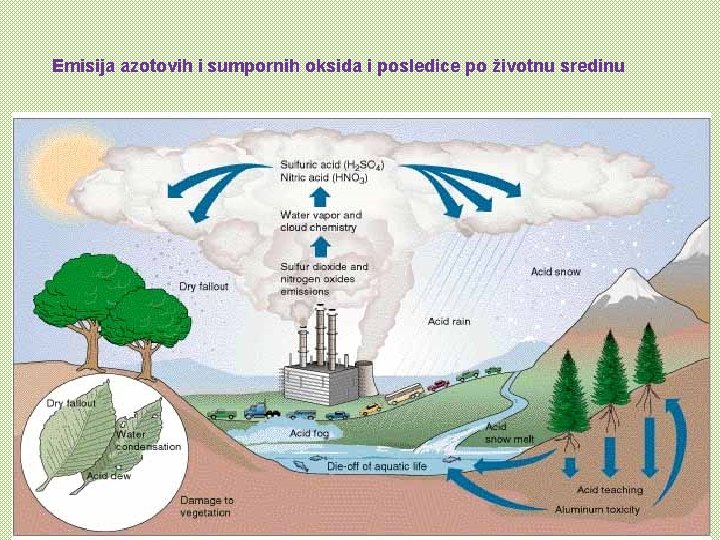 Emisija azotovih i sumpornih oksida i posledice po životnu sredinu 