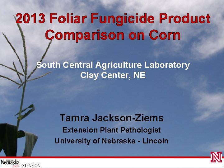 2013 Foliar Fungicide Product Comparison on Corn South Central Agriculture Laboratory Clay Center, NE