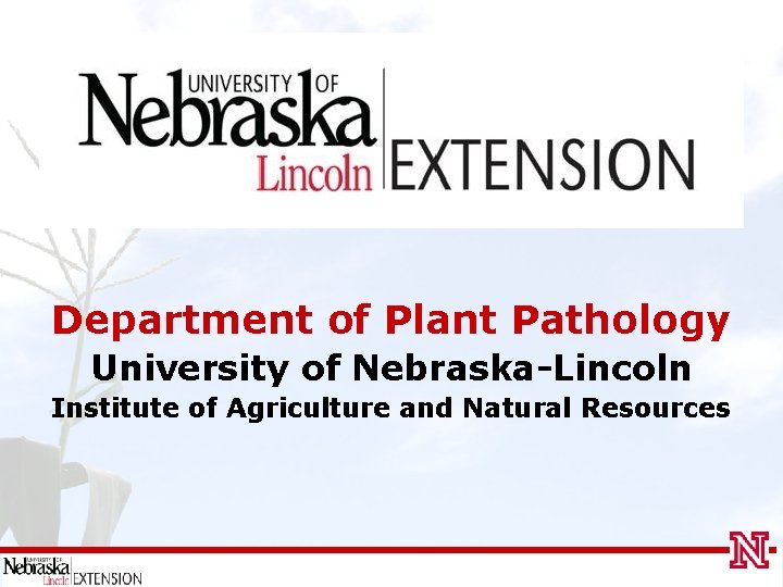 Department of Plant Pathology University of Nebraska-Lincoln Institute of Agriculture and Natural Resources 