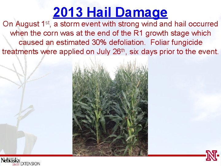 2013 Hail Damage On August 1 st, a storm event with strong wind and