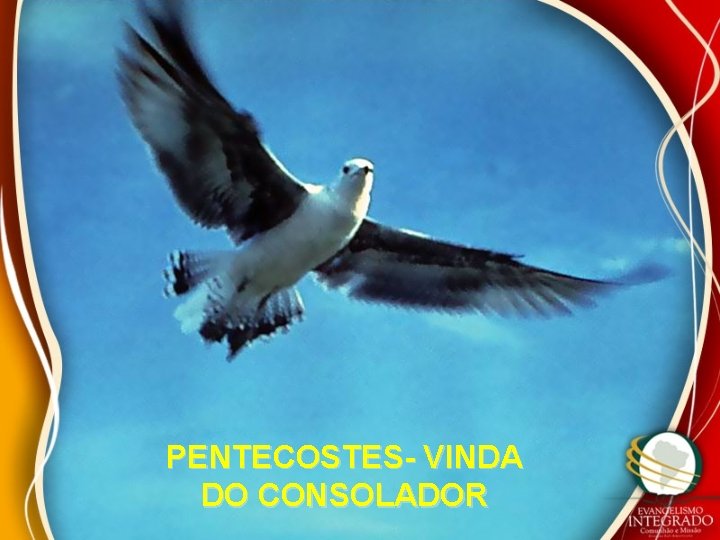 PENTECOSTES- VINDA DO CONSOLADOR 