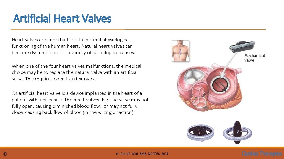 Artificial Heart Valves Heart valves are important for the normal physiological functioning of the