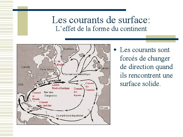 Les courants de surface: L’effet de la forme du continent w Les courants sont