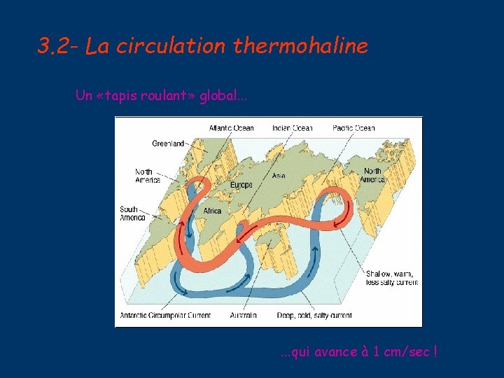 3. 2 - La circulation thermohaline Un «tapis roulant» global. . . qui avance
