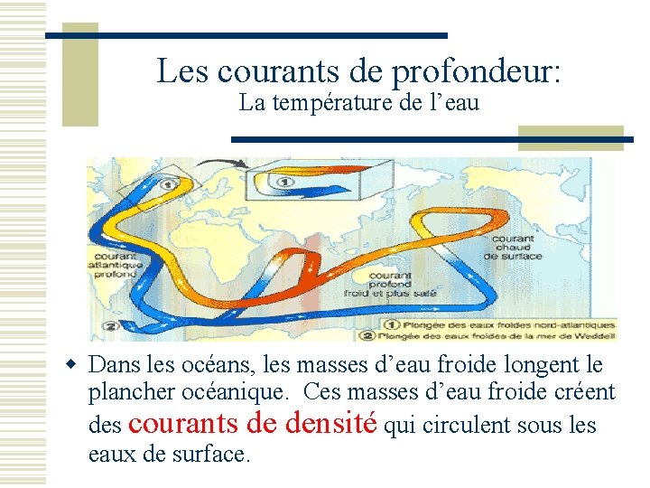 Les courants de profondeur: La température de l’eau w Dans les océans, les masses
