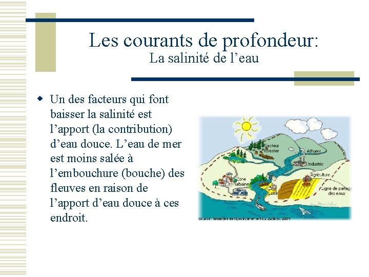 Les courants de profondeur: La salinité de l’eau w Un des facteurs qui font