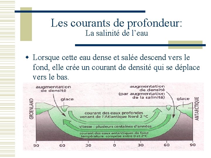 Les courants de profondeur: La salinité de l’eau w Lorsque cette eau dense et