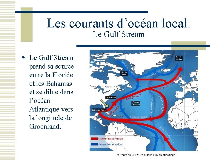 Les courants d’océan local: Le Gulf Stream w Le Gulf Stream prend sa source