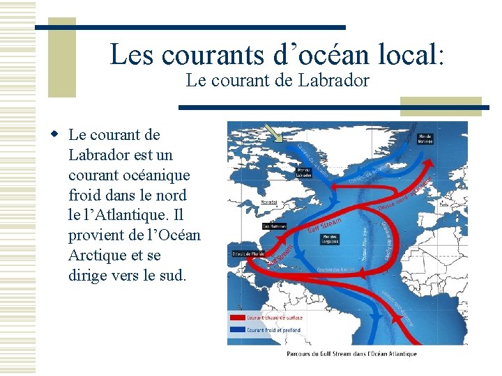 Les courants d’océan local: Le courant de Labrador w Le courant de Labrador est