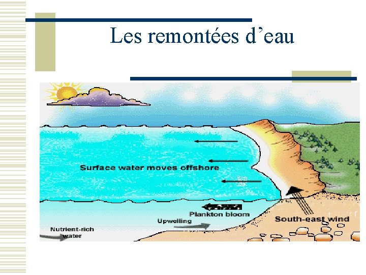 Les remontées d’eau 