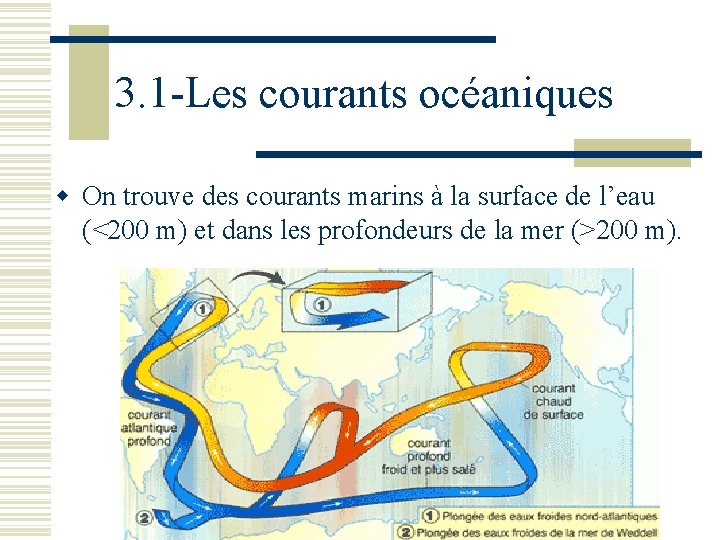 3. 1 -Les courants océaniques w On trouve des courants marins à la surface