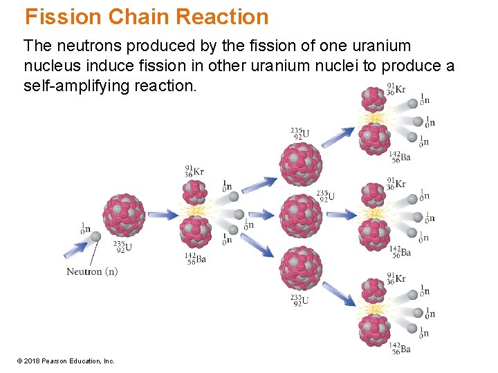 Fission Chain Reaction The neutrons produced by the fission of one uranium nucleus induce