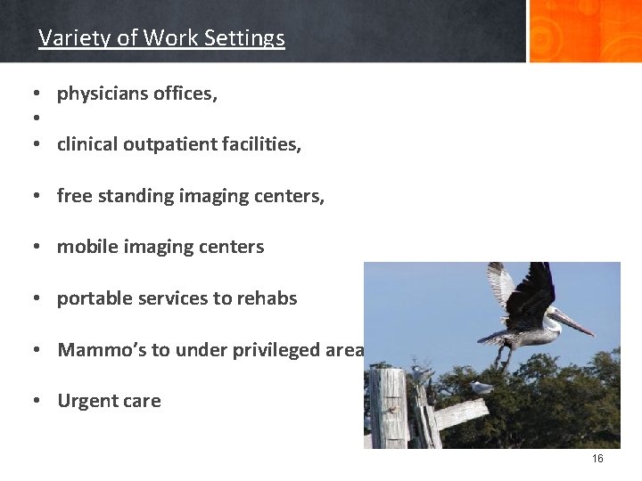 Variety of Work Settings • physicians offices, • • clinical outpatient facilities, • free