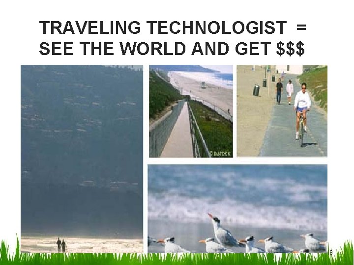 TRAVELING TECHNOLOGIST = SEE THE WORLD AND GET $$$ 19 