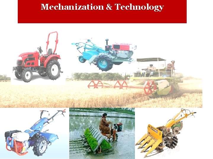 Mechanization & Technology 