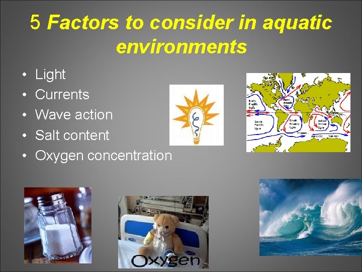 5 Factors to consider in aquatic environments • • • Light Currents Wave action