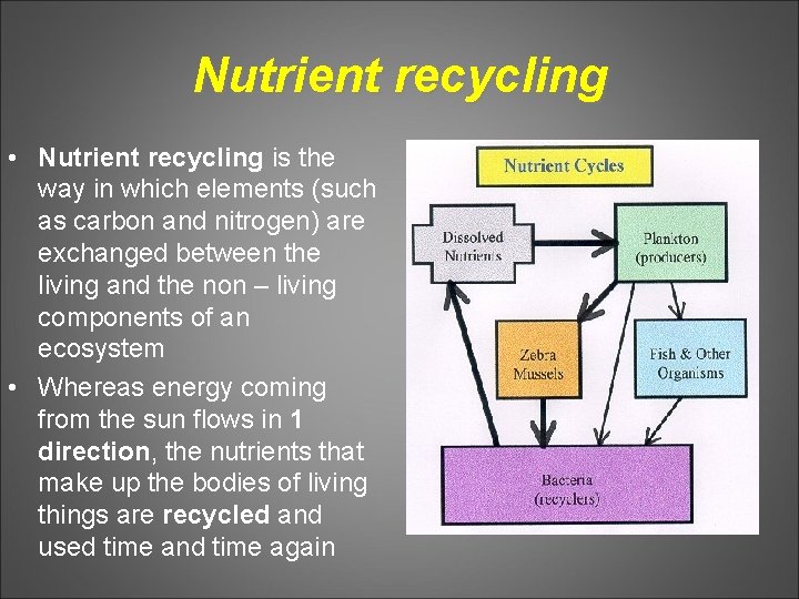 Nutrient recycling • Nutrient recycling is the way in which elements (such as carbon