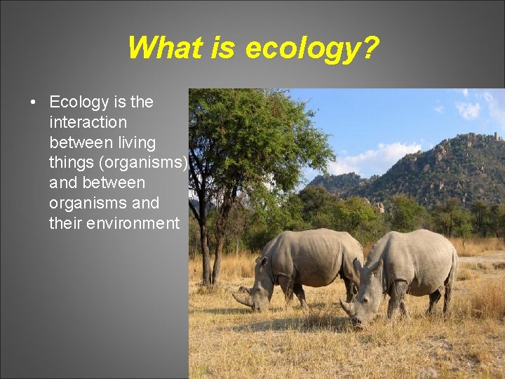 What is ecology? • Ecology is the interaction between living things (organisms) and between