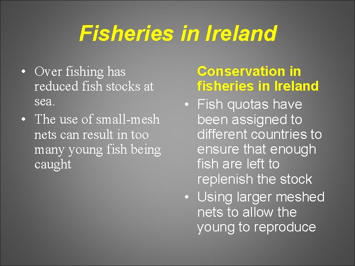 Fisheries in Ireland • Over fishing has reduced fish stocks at sea. • The
