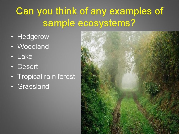 Can you think of any examples of sample ecosystems? • • • Hedgerow Woodland