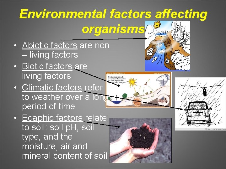 Environmental factors affecting organisms • Abiotic factors are non – living factors • Biotic