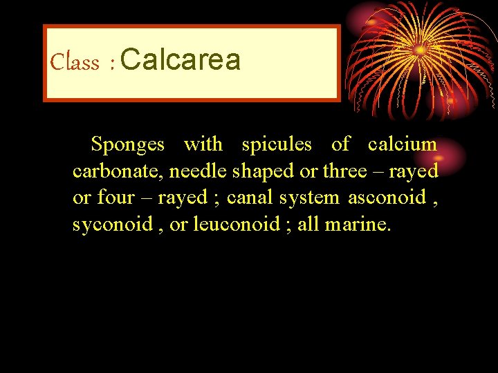 Class : Calcarea Sponges with spicules of calcium carbonate, needle shaped or three –