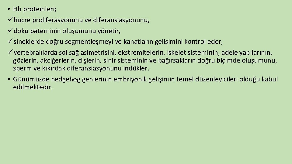  • Hh proteinleri; ühücre proliferasyonunu ve diferansiasyonunu, üdoku paterninin oluşumunu yönetir, üsineklerde doğru