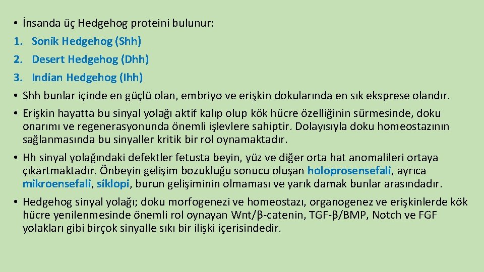  • İnsanda üç Hedgehog proteini bulunur: 1. Sonik Hedgehog (Shh) 2. Desert Hedgehog