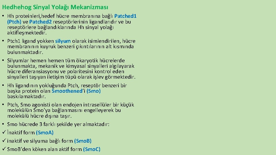Hedhehog Sinyal Yolağı Mekanizması • Hh proteinleri, hedef hücre membranına bağlı Patched 1 (Ptch)