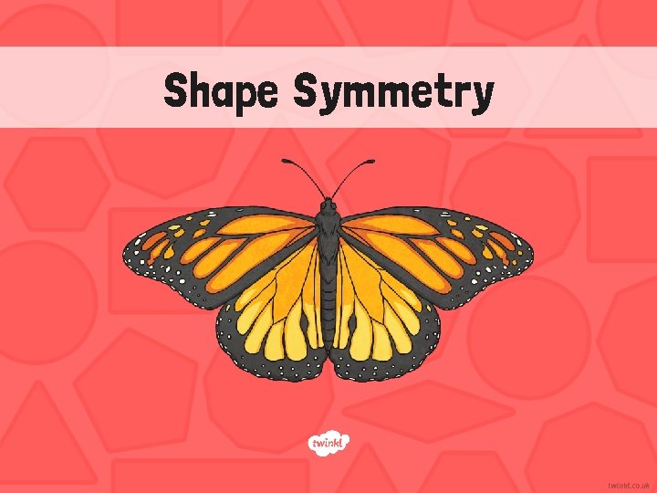 Shape Symmetry 