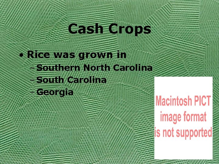 Cash Crops • Rice was grown in – Southern North Carolina – South Carolina