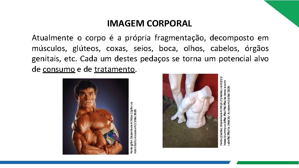 IMAGEM CORPORAL Fonte: pixabay. Disponívelem: https: //pixabay. com/pt/p hotos/dummy-exibi%C 3%A 7%C 3%A 3 o-boneca-semcabe%C