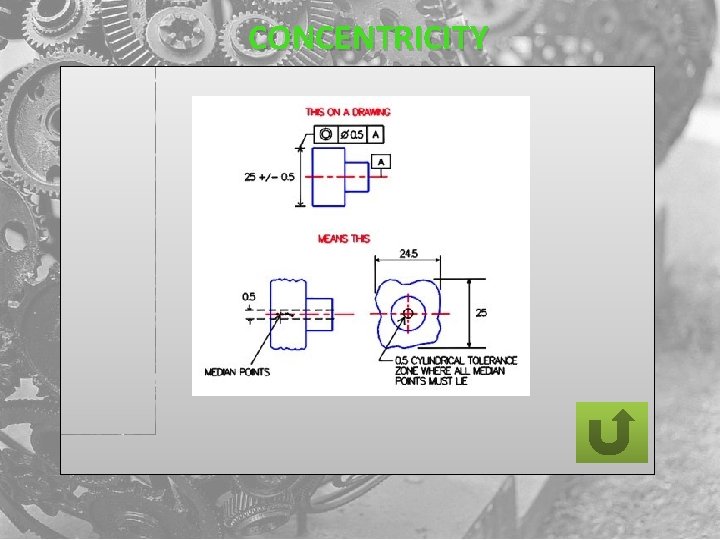 CONCENTRICITY 