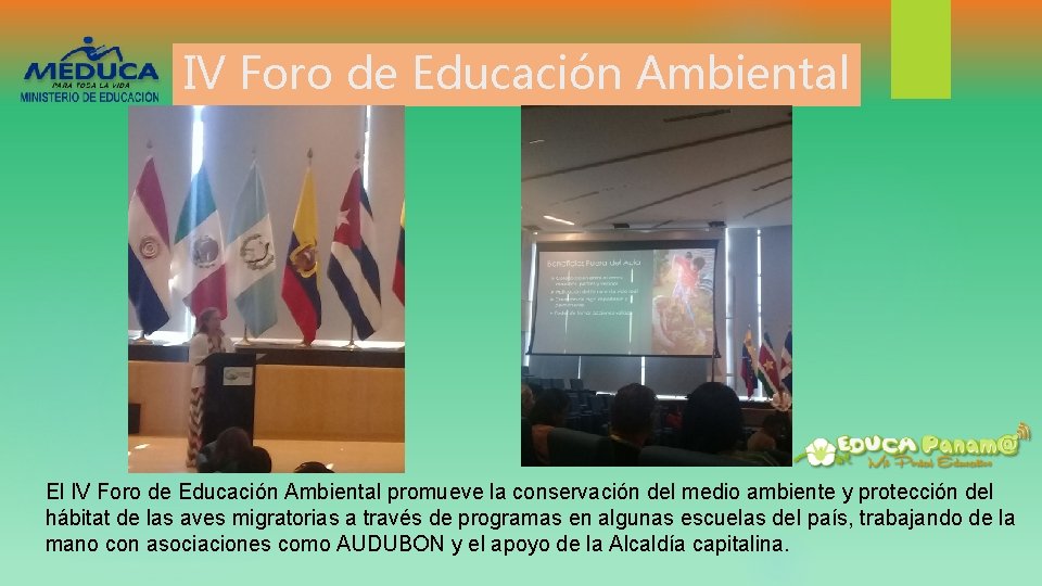 IV Foro de Educación Ambiental El IV Foro de Educación Ambiental promueve la conservación